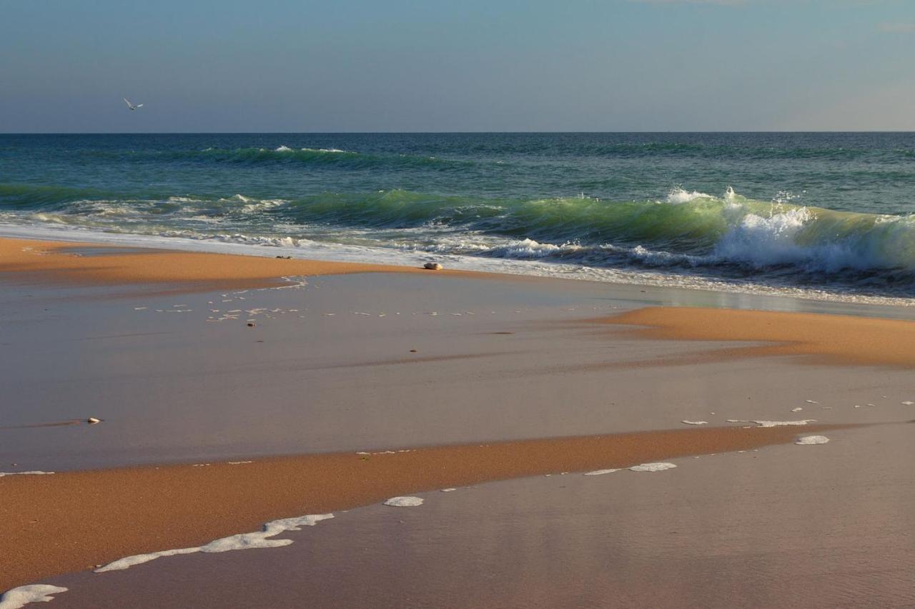 La Rose Allass Grand-Village-Plage Luaran gambar